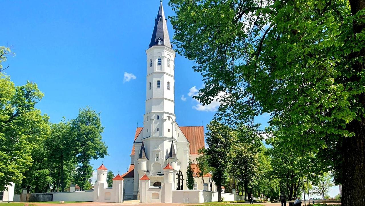 Apartment Next To Cathedral Of Saints Peter & Paul Šiauliai المظهر الخارجي الصورة